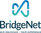 Bridgenet_logo_large